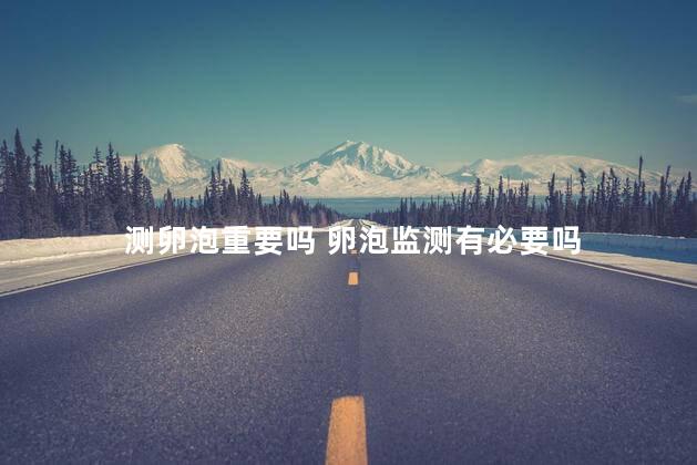 测卵泡重要吗 卵泡监测有必要吗